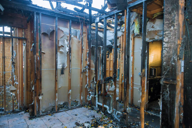 Professional Soot Cleanup technician working in Dalbo, MN